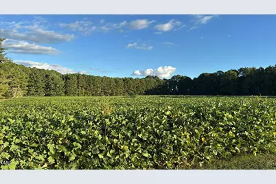 0 Nc-231, Middlesex, NC 27557 - Photo 1