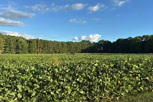 0 Nc-231, Middlesex, NC 27557 - Photo 1