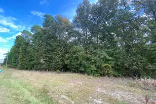 123 Nc 210 S, Bunnlevel, NC 28323 - Photo 1