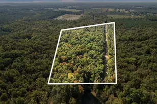 9650 Twisted Oak Trail, Snow Camp, NC 27349 - Photo 1