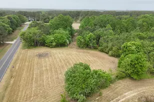 Lot 1 Joe Collins Rd, Lillington, NC 27546 - Photo 1