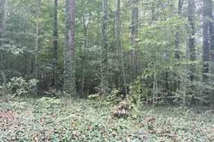 L37-41 N Tenth St, Mebane, NC 27302 - Photo 1