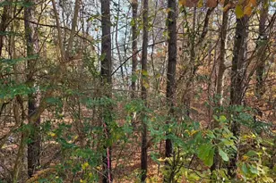 545 Coachman Way, Sanford, NC 27332 - Photo 1