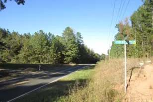 4 29 Acres Leonard Rd, Louisburg, NC 27549 - Photo 1