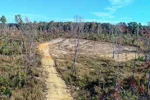 26 51 Acres Country Club Rd, Roxboro, NC 27574 - Photo 1