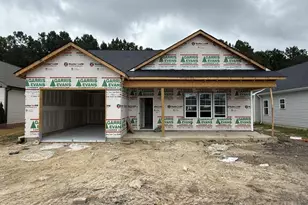 4517 Sweet Williams Ln, Wilson, NC 27896 - Photo 1