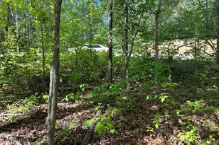 2558 Buckingham Dr, Franklinton, NC 27525 - Photo 1