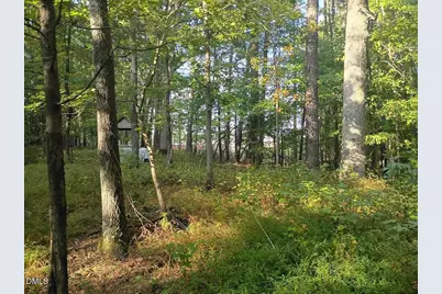 4320 Green Level West Road, Apex, NC 27523 - Photo 1