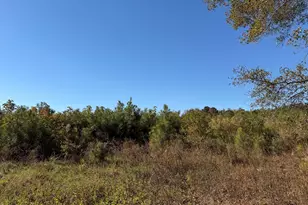 0 Minter School Rd, Sanford, NC 27332 - Photo 1