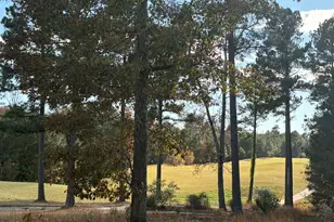 453 Golfers View, Pittsboro, NC 27312 - Photo 1
