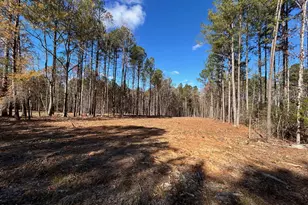 2085 Satterwhite Rd, Oxford, NC 27565 - Photo 1