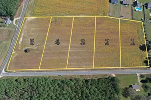 1807 Sheriff Johnson Rd, Lillington, NC 27546 - Photo 1