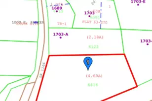 0 Parkertown Rd, Four Oaks, NC 27524 - Photo 1