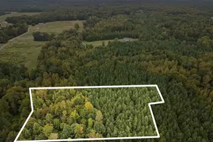 Lot E Wolf Tree Way, Efland, NC 27243 - Photo 1