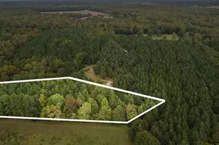 Lot 4 Wolf Tree Way, Efland, NC 27243 - Photo 1