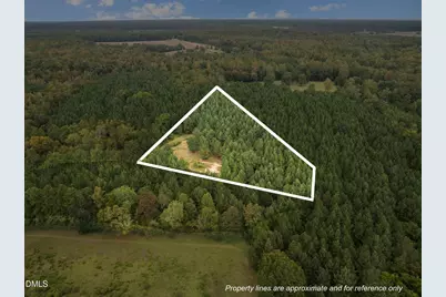 Lot 3 Wolf Tree Way, Efland, NC 27243 - Photo 1