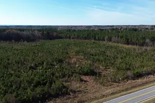 0 Duke Valentine Wynne Rd, Louisburg, NC 27549 - Photo 1