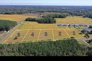 1813 Sheriff Johnson Rd, Lillington, NC 27546 - Photo 1