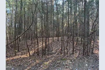 530 Crievewood Drive, Durham, NC 27712 - Photo 1