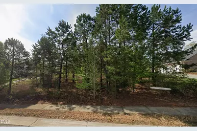 7474 Birchbend Drive, Lewisville, NC 27023 - Photo 1