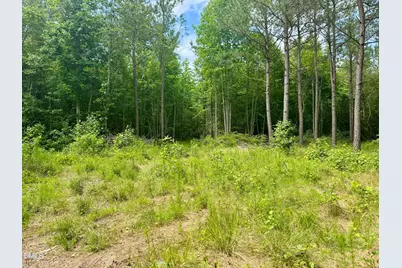 Tract 1 Frazier Road, Spring Hope, NC 27882 - Photo 1