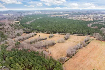 0000 Clyde Underwood New Tract 1 Road, Siler City, NC 27344 - Photo 1