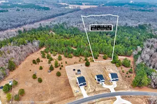Lot 5 Blue Springs Rd, Red Springs, NC 28377 - Photo 1