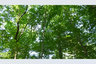 Lot 54 Forest Drive, Graham, NC 27253 - Photo 1