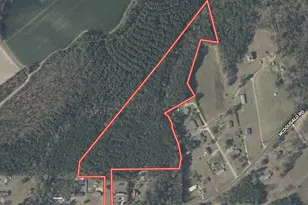 0 McDougald Rd, Broadway, NC 27505 - Photo 1