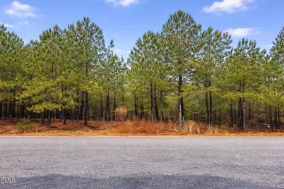 195 Appleton Way, Sanford, NC 27332 - Photo 1