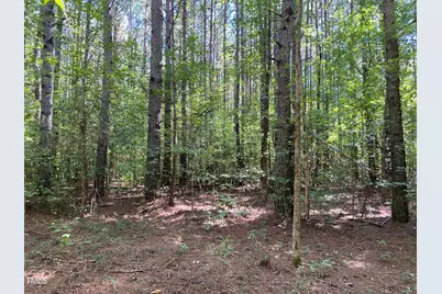 0 Collins Road, Norlina, NC 27563 - Photo 1