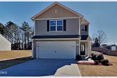 294 Coleshill Road, Angier, NC 27501 - Photo 1