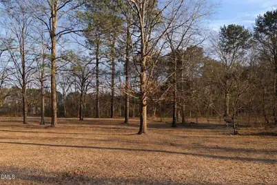 Lot 4 Will Suitt Road, Creedmoor, NC 27522 - Photo 1