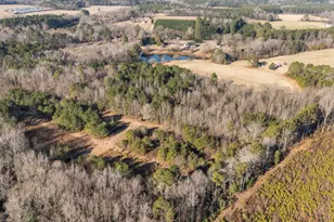 00 Leaflet Church Rd, Broadway, NC 27505 - Photo 1