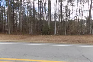 196 Trinity Church Rd, Louisburg, NC 27549 - Photo 1