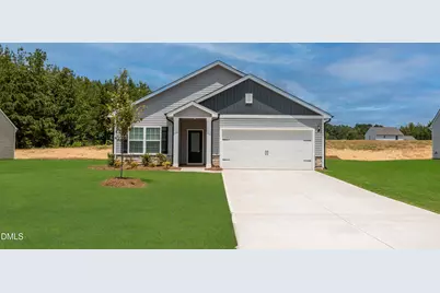 46 Foxton Place, Angier, NC 27501 - Photo 1