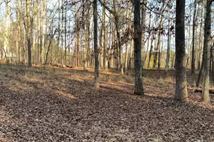 Lot 3 Jacks Trail, Hillsborough, NC 27278 - Photo 1