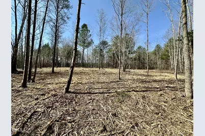 6.14 Acres Allen Creek Road, Rougemont, NC 27572 - Photo 1
