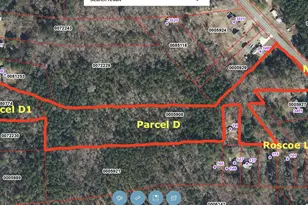 0 Major Lee Rd, Pittsboro, NC 27312 - Photo 1