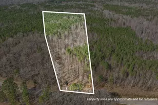 Lot 5 Fishing Creek Rd, Enfield, NC 27823 - Photo 1
