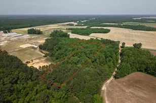 0 Mintz Rd, Roseboro, NC 28382 - Photo 1