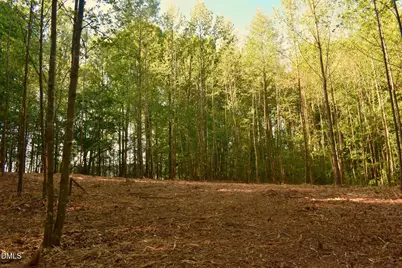 0 Hodges Dairy Road, Yanceyville, NC 27379 - Photo 1