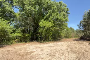 Lot 4 New Creech Rd, Selma, NC 27576 - Photo 1