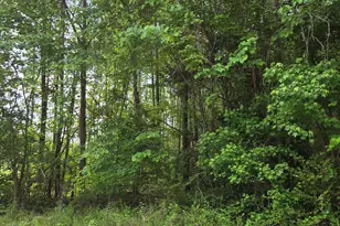 I1035A Tutelo Rd, Warrenton, NC 27589 - Photo 1