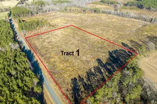 0 Roberts Chapel Rd, Goldston, NC 27252 - Photo 1