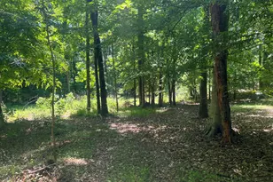0 Jones Ferry Rd, Chapel Hill, NC 27516 - Photo 1