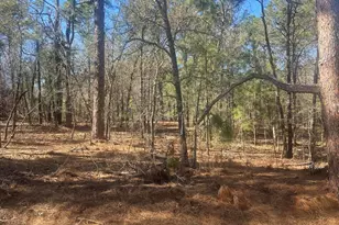 0 N Nc 73, Jackson Springs, NC 27281 - Photo 1
