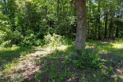 275 Hamer Street, Fair Bluff, NC 28439 - Photo 1