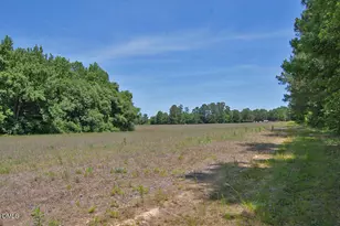 0 G F Ball Rd, Louisburg, NC 27549 - Photo 1