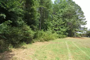 45 Mayodan Ln, Franklinton, NC 27525 - Photo 1
